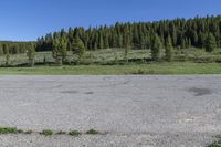 Crested Butte: A Mountain Forest by the Lake