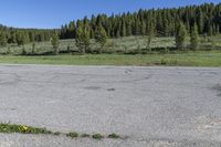 Crested Butte: A Mountain Forest by the Lake