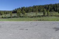 Crested Butte: A Mountain Forest by the Lake