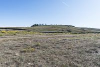 a view of an open field with some plants in the middle of it and a hill on the side