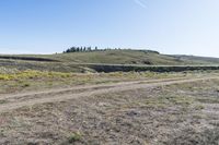 a view of an open field with some plants in the middle of it and a hill on the side