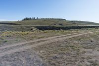 a view of an open field with some plants in the middle of it and a hill on the side