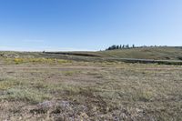 a view of an open field with some plants in the middle of it and a hill on the side