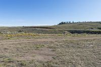 a view of an open field with some plants in the middle of it and a hill on the side