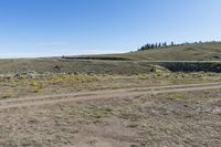 a view of an open field with some plants in the middle of it and a hill on the side