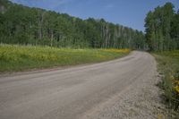 an empty dirt road surrounded by green grass and trees with a single red stop sign in the distance