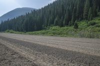 a dirt road near some trees in a mountainside area with evergreen woods and hills