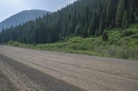 a dirt road near some trees in a mountainside area with evergreen woods and hills