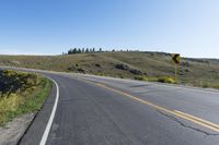 road going through grassy hillside with yellow bushes and trees on the hill side in distance