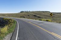 road going through grassy hillside with yellow bushes and trees on the hill side in distance