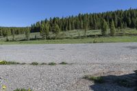 an empty lot with a parking lot and trees in the background in the wildland