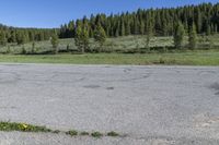 an empty lot with a parking lot and trees in the background in the wildland