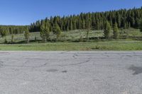 an empty lot with a parking lot and trees in the background in the wildland