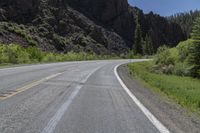 Crested Butte, USA: Nature's Forest and Trees