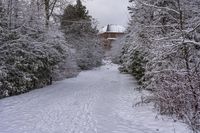 a cross country ski trail with a building behind it, during winter time, near a wooded forest