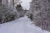 a cross country ski trail with a building behind it, during winter time, near a wooded forest