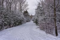 a cross country ski trail with a building behind it, during winter time, near a wooded forest