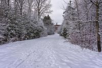 a cross country ski trail with a building behind it, during winter time, near a wooded forest