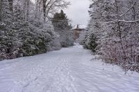 a cross country ski trail with a building behind it, during winter time, near a wooded forest