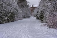 a cross country ski trail with a building behind it, during winter time, near a wooded forest