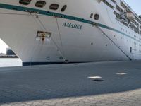 this is an image of a large cruise ship docked by the water's edge