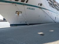 this is an image of a large cruise ship docked by the water's edge