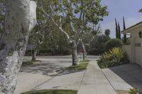 this is an exterior view of a home with large trees and landscaping on the side