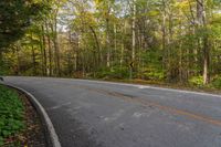 a curve road in a forest with trees surrounding it and orange paint all around the curb