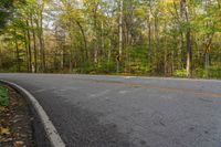 a curve road in a forest with trees surrounding it and orange paint all around the curb