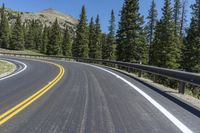 the curved highway has many yellow striped lines going along it with forest behind it and mountains in the distance