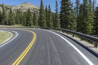 the curved highway has many yellow striped lines going along it with forest behind it and mountains in the distance