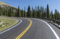 the curved highway has many yellow striped lines going along it with forest behind it and mountains in the distance