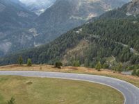 Curved Road in Austria: Surrounded by Beautiful Nature