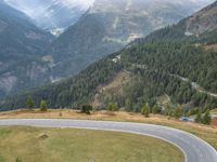 Curved Road in Austria: Surrounded by Beautiful Nature