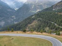 Curved Road in Austria: Surrounded by Beautiful Nature