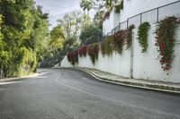 a white walled building with hanging red flowers and vines along a curved road as it winds away