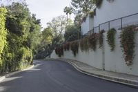 a white walled building with hanging red flowers and vines along a curved road as it winds away