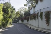 a white walled building with hanging red flowers and vines along a curved road as it winds away