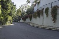 a white walled building with hanging red flowers and vines along a curved road as it winds away