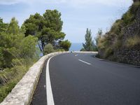 the road curves through an area of rock and trees with sea in the distance and blue sky