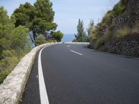 the road curves through an area of rock and trees with sea in the distance and blue sky