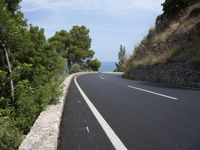 the road curves through an area of rock and trees with sea in the distance and blue sky