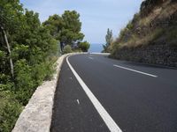 the road curves through an area of rock and trees with sea in the distance and blue sky