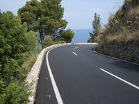 the road curves through an area of rock and trees with sea in the distance and blue sky