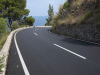 the road curves through an area of rock and trees with sea in the distance and blue sky