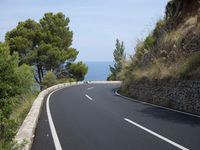the road curves through an area of rock and trees with sea in the distance and blue sky