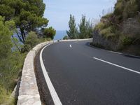 the road curves through an area of rock and trees with sea in the distance and blue sky