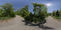 a curved road next to a forest in the day time photo taken on the fisheye lens