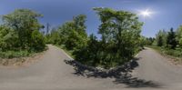 a curved road next to a forest in the day time photo taken on the fisheye lens