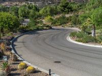 a curved road with palm trees, bushes and mountains in the background with a person riding a motorcycle down the side